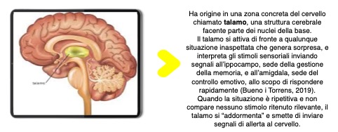 allenare l'attenzione dell'adolescente