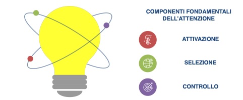 componenti dell'attenzione