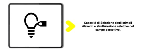 psicologia dell'attenzione dell'adolescente